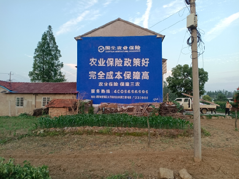  上杭墙体广告为何受追捧？